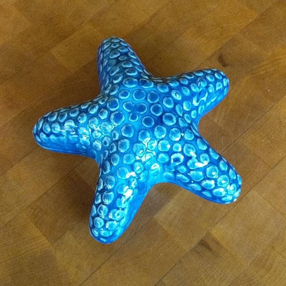 Starfish Decoration
